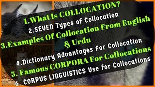 What Is Collocation  7 Types Of Collocations  Dictionary amp Corpus Linguistics Use For Collocations [upl. by Selry]