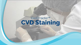 CelCradle™  Crystal Violet Dye CVD Staining  Esco VacciXcell [upl. by Anhoj]