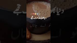 Aaj Ki Chaye  Chai Song  Chai Wali Shayari  Gane Dekhte Chai  Ganeey  Ganey  Urdu Ghazal [upl. by Anaugal632]