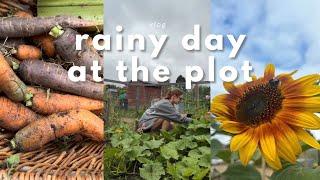 ALLOTMENT VLOG  Rainy day at the plot [upl. by Dorri]