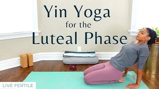 20Minute Yoga for Fertility  Yin Yoga for the Luteal Phase TWW  Yoga for Your Menstrual Cycle [upl. by Volding]