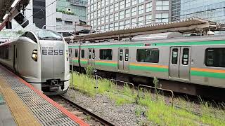 JR E2311000 Series leading ShonanShinjuku Line at Shinjuku Station Japan 862024 train [upl. by Sachsse433]