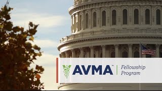 AVMA Fellowship Program Chases Story [upl. by Safier921]