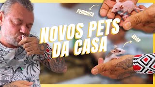 TEMOS NOVOS PETS DENTRO DE CASA  A CASA DOS BICHOS [upl. by Bissell370]