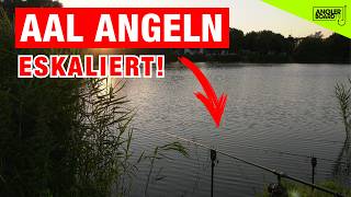 Monster im kleinen Teich🥵🎣 Aal angeln eskaliert [upl. by Norward333]