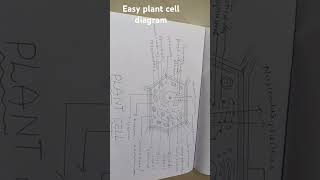 Easy plant cell with labelled diagrambiology tips [upl. by Dlopoel]