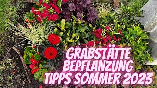 grabstätte für den Sommer Bepflanzen Somemrbepflanzung tipps [upl. by Lj170]