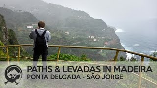 Madeira Levada Ponta Delgada  Sao Jorge [upl. by Goldi862]