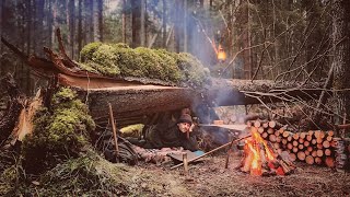 Bushcraft in a cold winter forest Build Primitive shelter for survival Survival skills in the wild [upl. by Nodnas156]