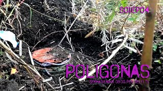 Poligonas Pavojingas išminuotojo amatas [upl. by Foy]