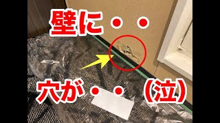 DIY【 壁穴補修 】石膏ボードの張替え下地の補修の仕方 壁穴リペア [upl. by Deirdre]