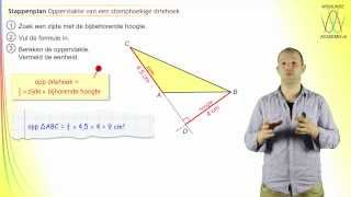 De oppervlakte van een stomphoekige driehoek stappenplan  WiskundeAcademie [upl. by Anagnos]