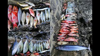 Fishing in Mauritius Episode 2  Ile plate Ilot Gabriel amp Coin de Mire [upl. by Aikemahs222]