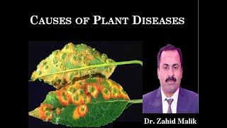 Causes of Plant Diseases Part1 NonParasitic Causes in UrduHindiEnglish by Dr Zahid Malik [upl. by Ordnajela]