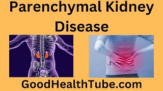 Parenchymal Kidney Disease  Do You Have It  Good Health Tube [upl. by Nevar]