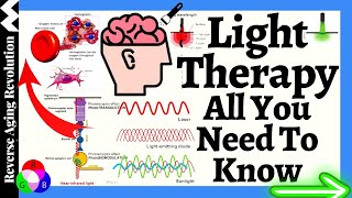 Red Light Therapy  4 KEY FACTORS You Need To Know  Wavelength amp dosage [upl. by Regazzi]