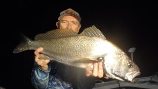 Madmics Bloodworm Ribbedfish soft plastic saves the day with Mulloway and Flathead [upl. by Engen]