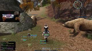 Lotro PvP  Grinding Rank 13 Burg New Years  Arkenstone [upl. by Bevash]