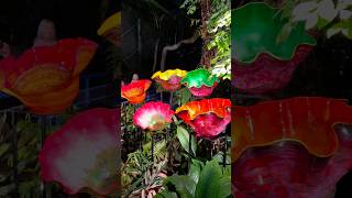 “Chihuly Nights” in Adelaide’s Botanic Gardens  South Australia [upl. by Rome]