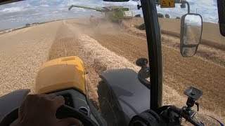 JCB FASTRAC and CLAAS Lexion bringing in the HARVEST [upl. by Lerrehs]