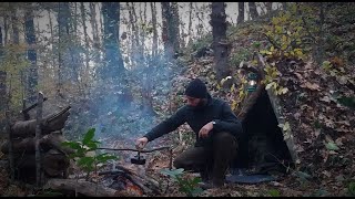 BUILD PRIMITIVE BUSHCRAFT SHELTER  2 DAY SOLO CAMP  WILD CAMPING [upl. by Delila]