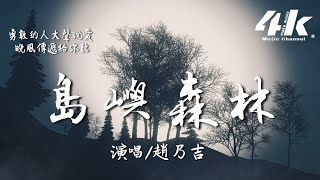 趙乃吉  島嶼森林『我不斷找尋 你留下的足印，雲層島嶼 海底森林。』【高音質動態歌詞Lyrics】♫ [upl. by Ynattirb]