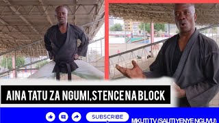 JIFUNZE KARETI KARATE AINA TATU ZA NGUMI STENCE NA JINSI YA KUZUIA [upl. by Fin191]