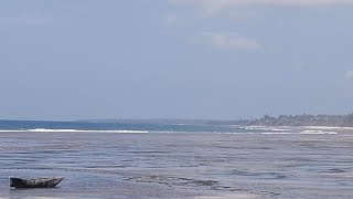 Msambweni Beach  Kenya South Coast [upl. by Annoet]