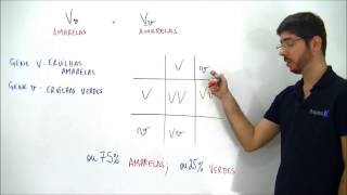 Xtensivo Biologia 1ª Lei de Mendel PROBABILIDADES Prof Felipe Jardim [upl. by Baerl]