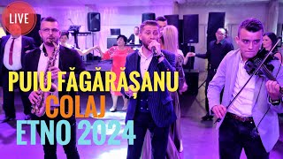 Puiu Fagarasanu🆙Colaj Etno💯 Live 2024 [upl. by Ellerred431]