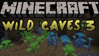 Minecraft Mods  WILD CAVES 3 MOD GLOWSHROOMS amp STALAGMITES 145 [upl. by Anaihsat]