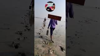 namak farm namak namka farm vlog rann no raja kutch seltblogger new trending viarni rann [upl. by Gratiana]