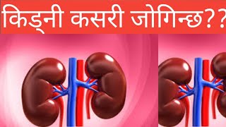 Kidney problem in Nepali Dr Bhupendra Shahdoctor Sathi [upl. by Mcmahon]