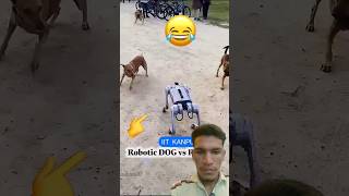 Robot Dog Vs Real Dog 🐕 🤣 robot dog shorts [upl. by Roede829]