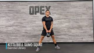 Kettlebell Sumo Squat [upl. by Sunderland]