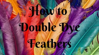 HOW TO ACHIEVE YOUR DESIRED COLOURED FEATHERS [upl. by Lleder5]