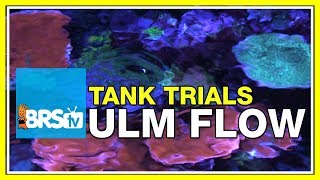 ULM Tank Trials Ep13 Flow for Ultra Low Maintenance  BRStv [upl. by Alver14]