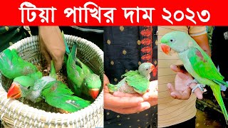 টিয়া পাখির দাম 2023  Ringneck Parrot Price In Bangladesh And India  Tia Pakhir Dam  Dhaka Pakhir [upl. by Reba747]