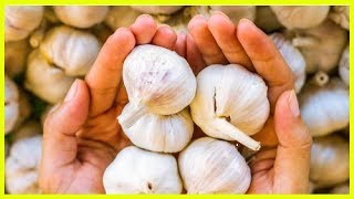 Les 6 meilleurs remèdes pour combattre les champignons sur le cuir chevelu [upl. by Buttaro]