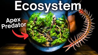 Creating a Multi Species Ecosystem Inside a Glass Bowl [upl. by Slack]