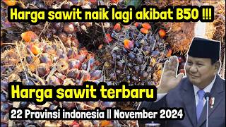 Cek daftar harga sawit terbaru  22 provinsi indonesia  Harga sawit november 2024 [upl. by Eliathan612]