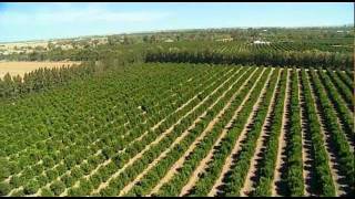 Riverina Agriculture Australia by Vince Bucello [upl. by Dawson]