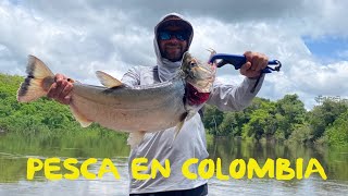 Pesca en Colombia [upl. by Akitnahs]