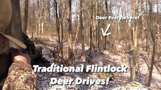 INSANE Flintlock Deer DRIVES Pennsylvania Traditional Flintlock Hunting [upl. by Christal519]