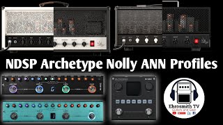 NDSP Archetype Nolly ANN Profiles for MVave TankG BlackBox and TankB [upl. by Petie361]