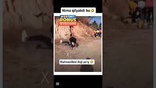 VIDEOGA LIKE BOSISHNI UNITMANG 👍 kesfet duet instagram shorts funny [upl. by Anawd419]