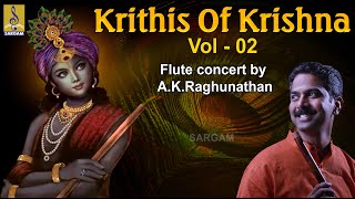 Krithis Of Krishna Vol 1  Classical Instrumental  Flute concert by AKRaghunathan [upl. by Amikay]