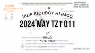 IB Biology HLSL 2024 May TZ1 Paper 1 Q11HLQ13SL [upl. by Essined]