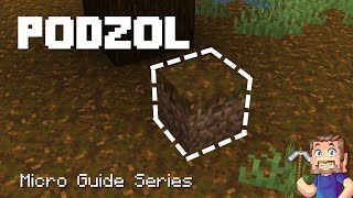 Podzol  Minecraft Micro Guide [upl. by Ellora]