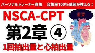 【NSCACPT】1回拍出量と心拍出量について合格解説！ [upl. by Nahshunn]